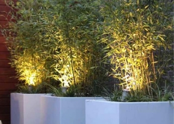 Đèn pha mặt tiền cây cảnh sân vườn ngoài trời cao cấp bảo hành 3 đến 5 năm tại TPHCM