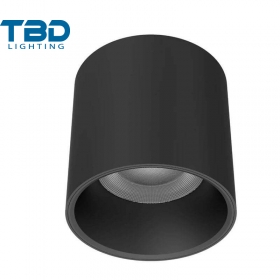 ĐÈN ỐP TRẦN IP65 25W CRI>90/95/97 TBD-1313K5125W