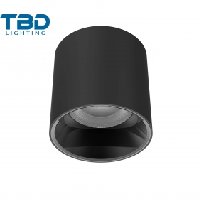 ĐÈN ỐP TRẦN IP65 12W CRI>90/95/97 TBD-1010K5112W