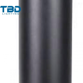 ĐÈN TRỤ SÂN VƯỜN 10W/20W TBD-LED-028A