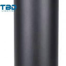ĐÈN TRỤ SÂN VƯỜN 10W/20W TBD-LED-028C