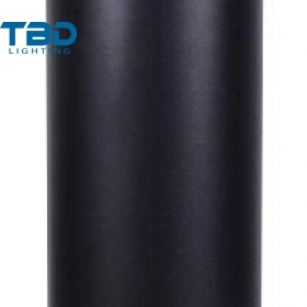 ĐÈN TRỤ SÂN VƯỜN 10W/20W TBD-LED-029C