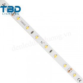 LED CUỘN SMD 2835 5MET 24VDC-8MM-FA040